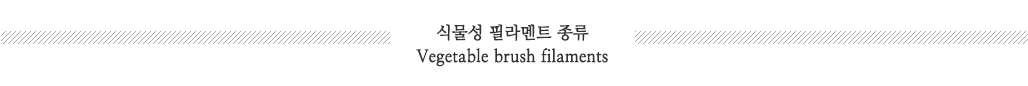 식물성